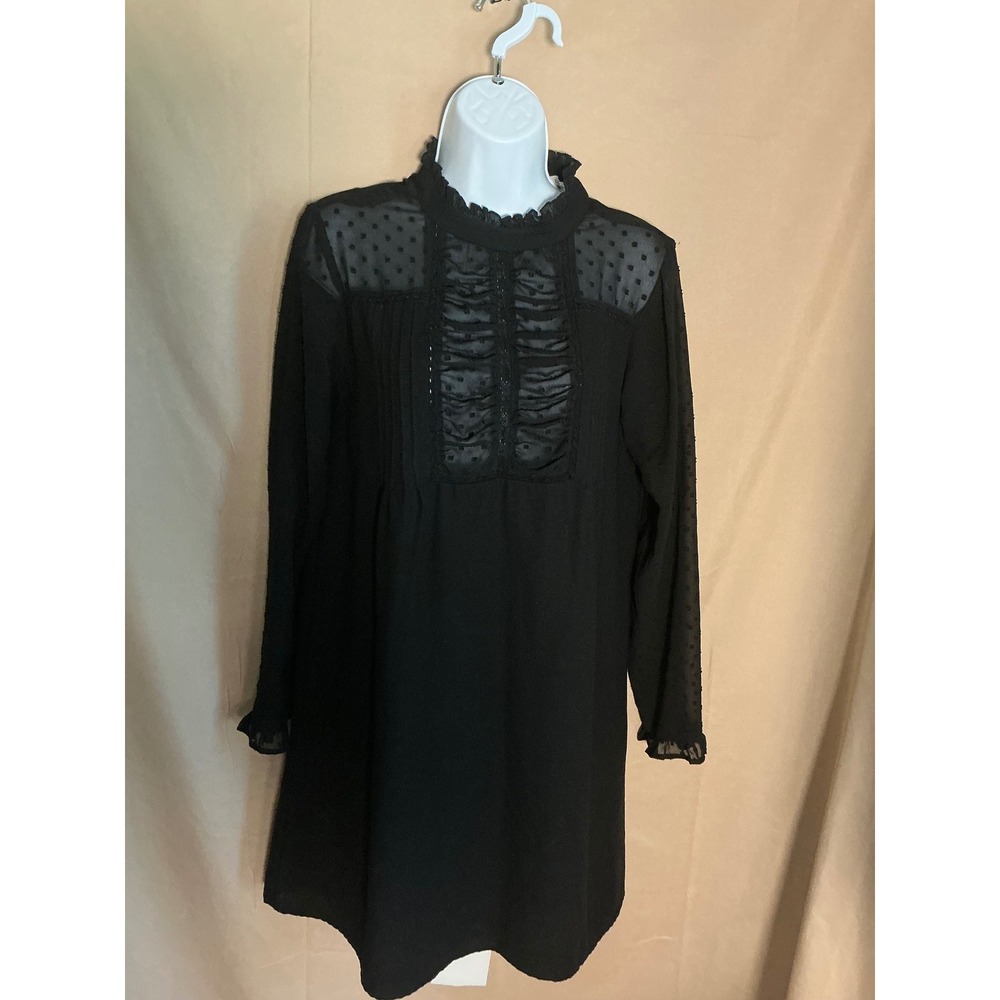 Zara Basic Dress Women Small Black Swiss Dot Ruffle High Neck Victorian Mini